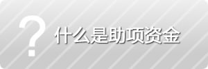 什么事助项资金？